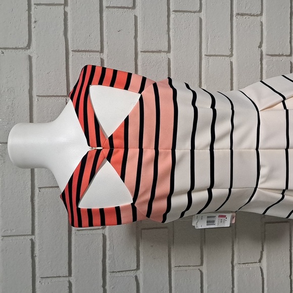 Sandra Darren Striped Pleated  Business/Casual Dress. Size 10 NWT - Picture 7 of 11